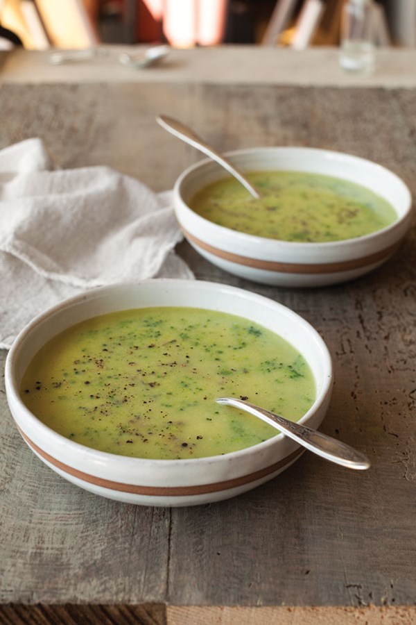 Broccoli and cheddar soup