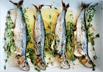 Broiled sardines with lemon and thyme