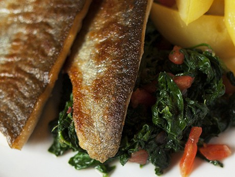 Brook trout müllerin