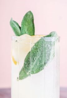 Brother Marcus lemonade
