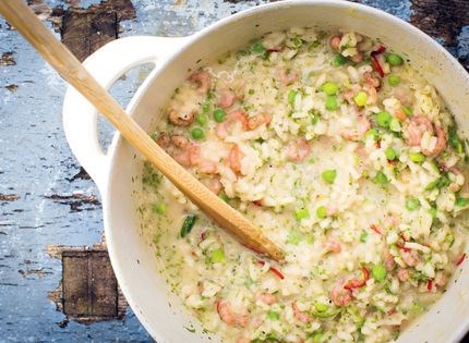 Brown shrimp risotto