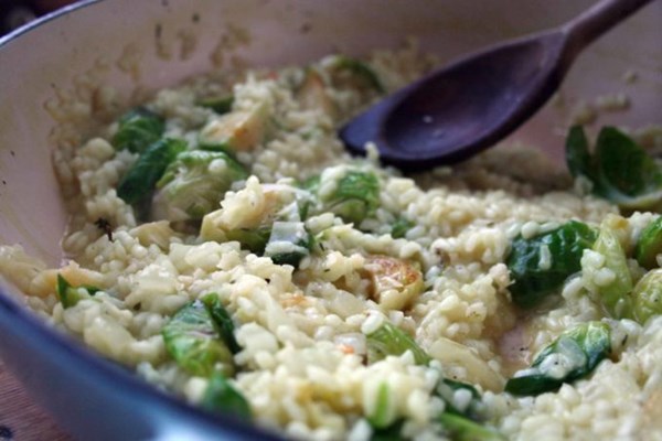 Brussels sprout risotto