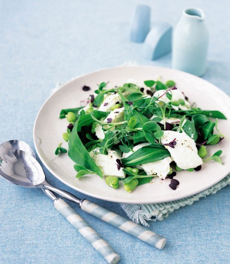 Buffalo mozzarella with broad bean and young leaf salad