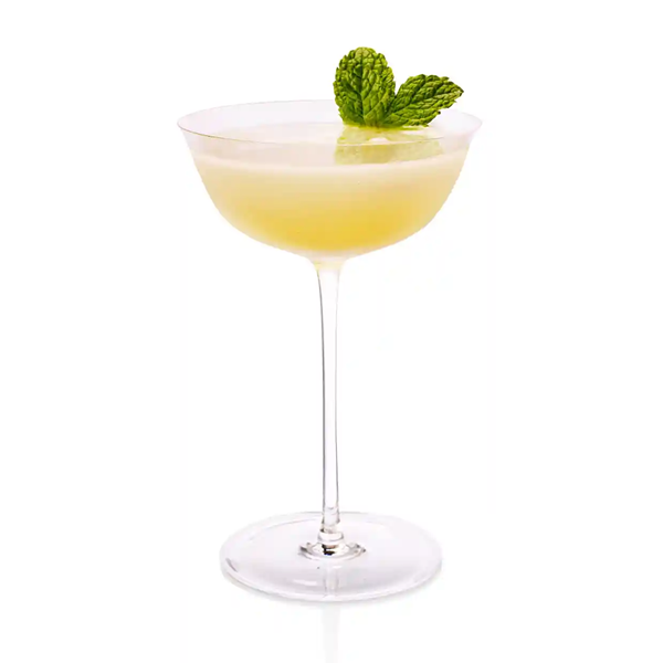 Burlington martini