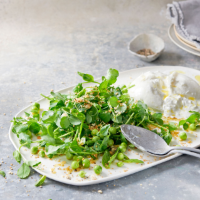 Burrata, pea and mint salad