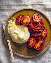 Burrata with better tomatoes 