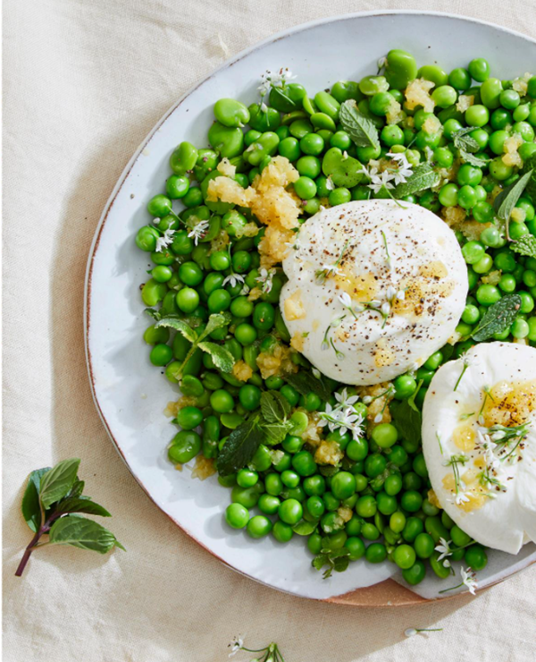 Salad Freak: Recipes to Feed a Healthy Obsession by Jess Damuck