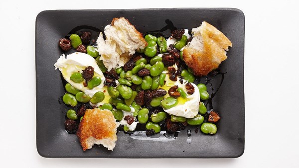 Burrata with morels and fava beans