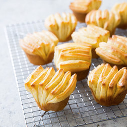 Butter fan rolls