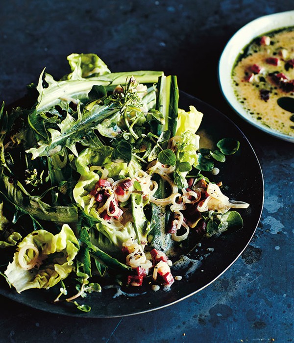 butter lettuce and dandelion salad