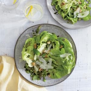 Butter lettuce, asparagus, and hazelnut salad