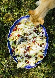 Butter lettuce, grape, fennel, walnut + buttermilk salad