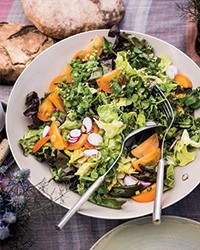 Butter lettuce salad with persimmons and radishes