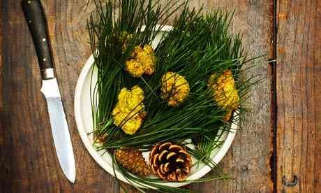 Buttermilk fried chicken in pine salt