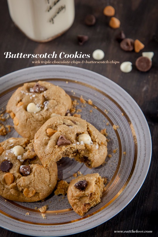Butterscotch cookies with triple chocolate chips
