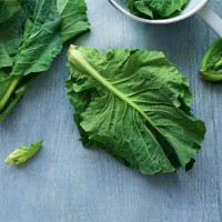 Buttery spring greens with crème fraîche