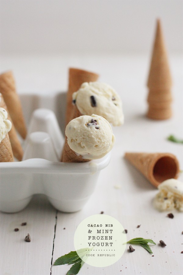 Cacao nib and mint frozen yogurt
