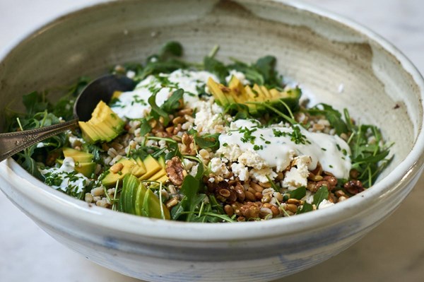 California barley bowl