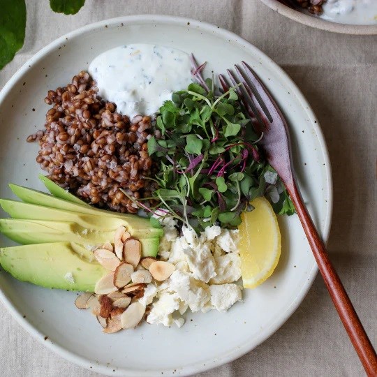 California purple barley bowl 