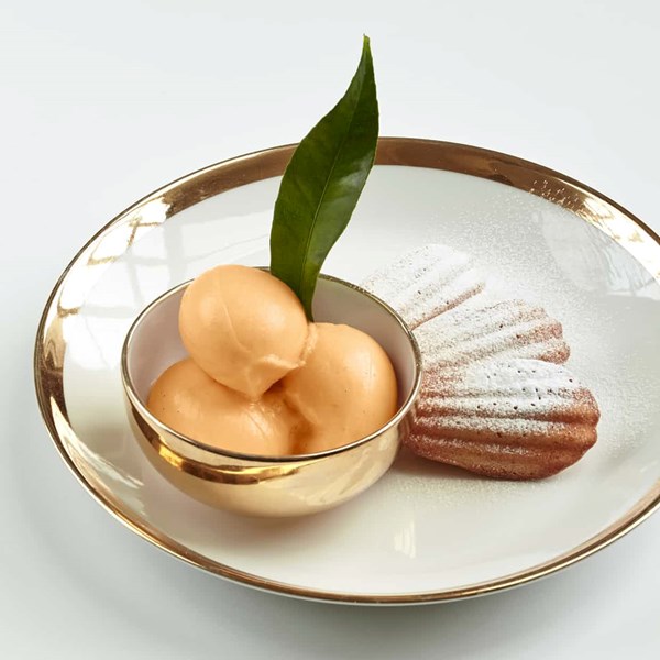 Campari, clementine and vanilla sorbet with clementine zest madeleines