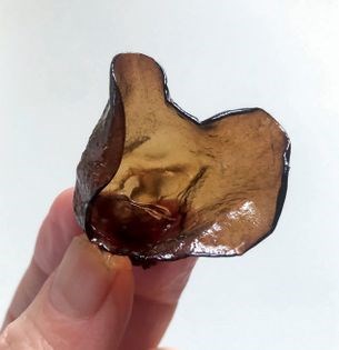 Candied wood ear [David Bennett]