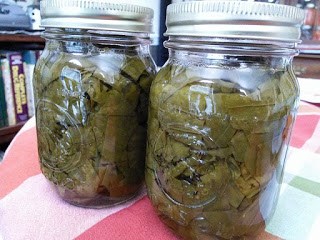 Canned common plantain