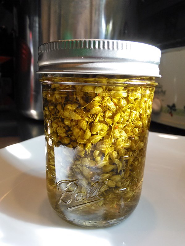 Canned pickled field pennycress seed pods and flower tips