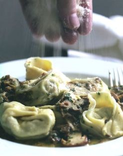 Cappellacci with mushroom sauce