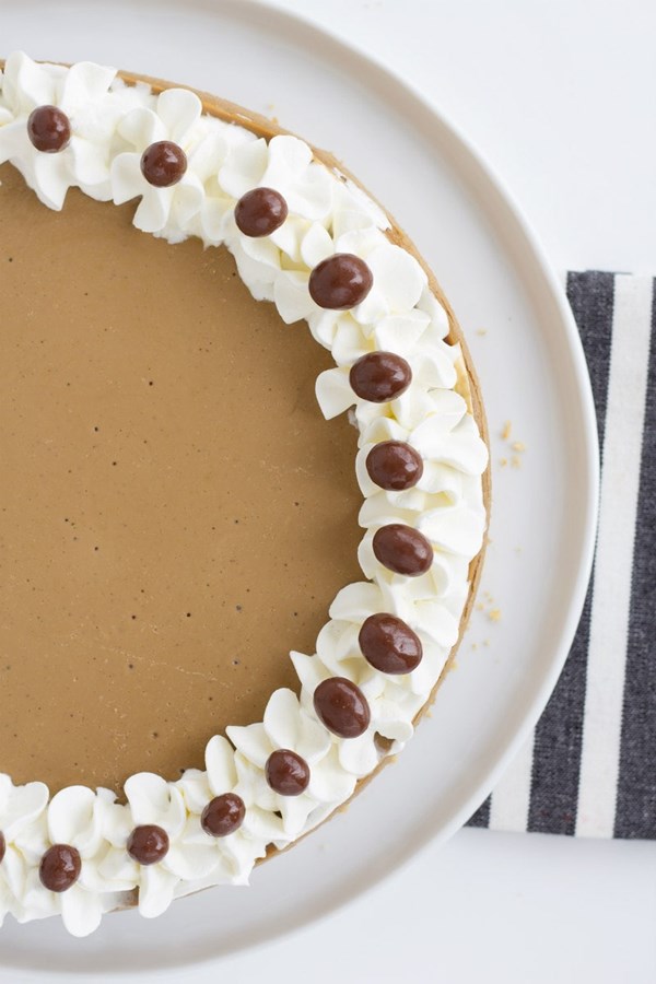 Cappuccino cheesecake