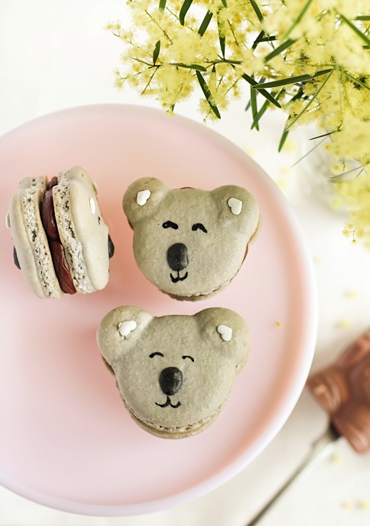 Caramel koala macarons
