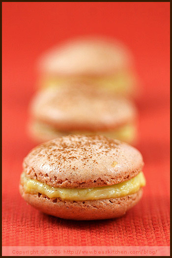 Cardamom, wattle seeds macarons with orange filling (Macarons à la cardamome et graines de wattle, ganache orange)