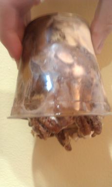Carmel chocolate concrete