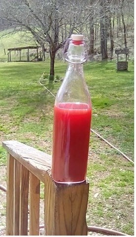 Carrie's blackberry limoncello