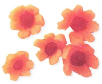 Carrot blossoms