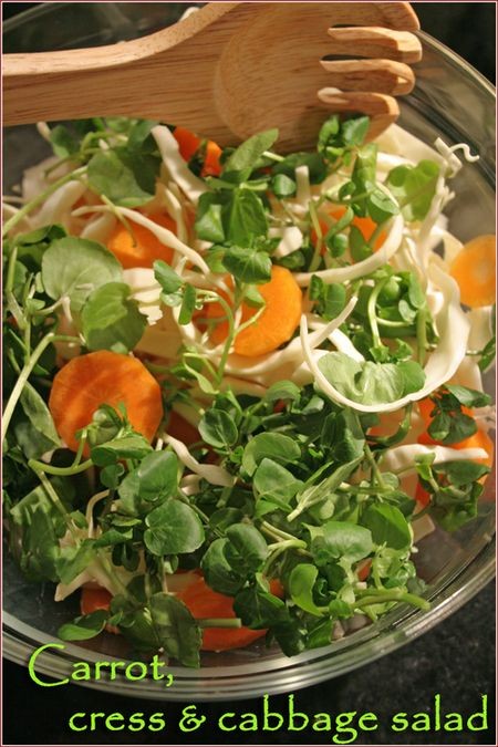 Carrot, cress and cabbage salad