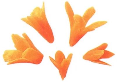 Carrot flowers