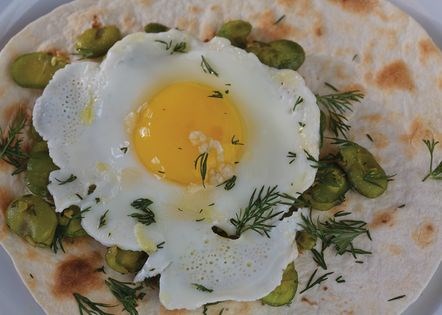 Caspian fava bean braise with garlic & dill