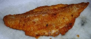 Catfish fry
