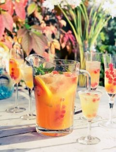 Cava sangria