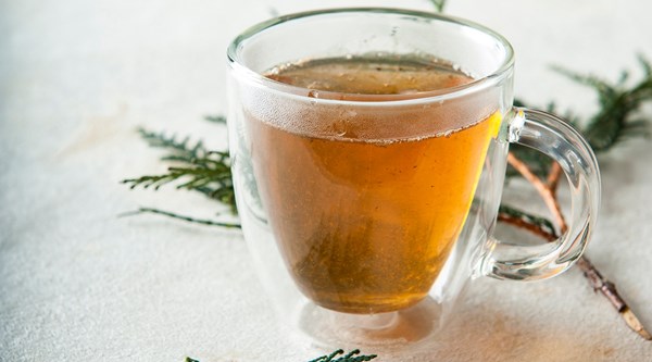Cedar tea