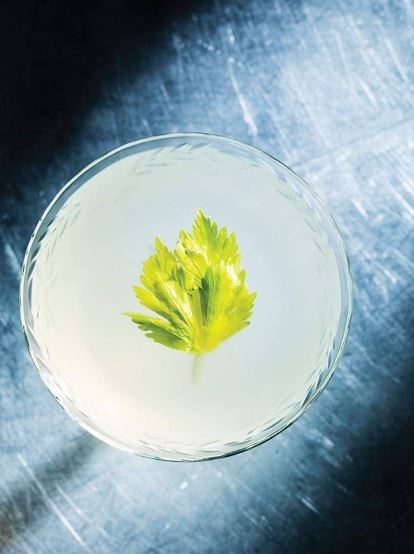 Celery gimlet