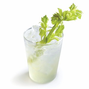 Celery gin fizz