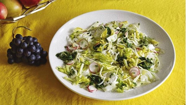 Celery heart salad with radishes and mozzarella