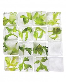 Celery-leaf ice cubes