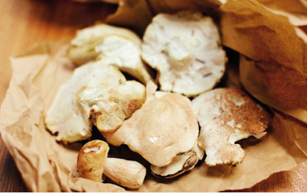 Cep and wild herb salad