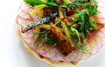 Ceviche of Cornish mackerel with a light horseradish cream, pickled cucumber and white radish