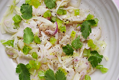 Ceviche of scallops with citrus and tomatoes