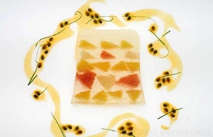 Champagne and citrus terrine