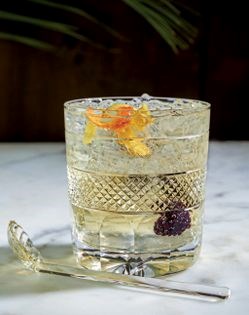 Champagne cobbler