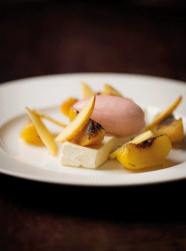 Champagne-poached peaches with vanilla yoghurt terrine